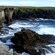 Dramatic coastal cliffs of Orkney
